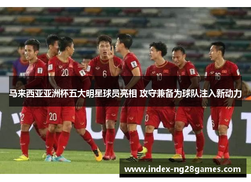 马来西亚亚洲杯五大明星球员亮相 攻守兼备为球队注入新动力