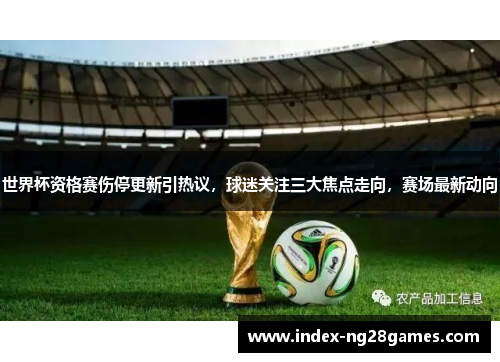 世界杯资格赛伤停更新引热议，球迷关注三大焦点走向，赛场最新动向