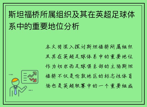 斯坦福桥所属组织及其在英超足球体系中的重要地位分析 斯坦福桥所属组织及其在英超足球体系中的重要地位分析